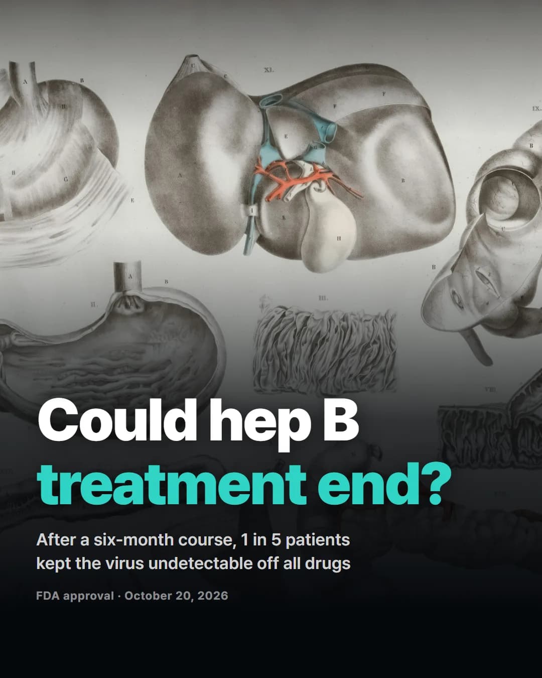 Could hep B
treatment end?
After a six-month course, 1 in 5 patients
kept the virus undetectable off all drugs
FDA approval · October 20, 2026